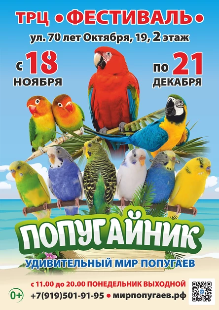 «Попугайник» | Омск (ТРЦ «Фестиваль»)