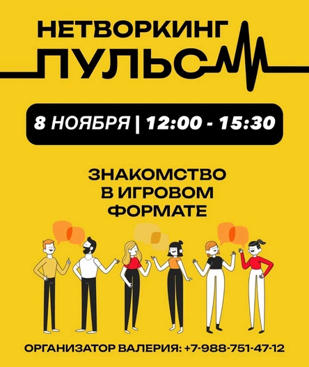 НЕТВОРКИНГ «ПУЛЬС» 08.11