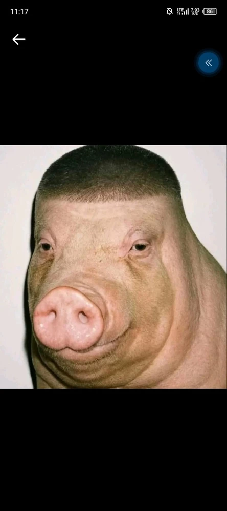 Afterparty rbm season