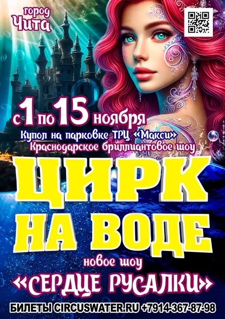 Цирк на воде Чита