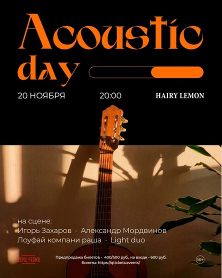 20 ноября | фест Acoustic Day | Hairy lemon pub