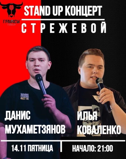 Денис Мухаметзянов Илья Коваленко