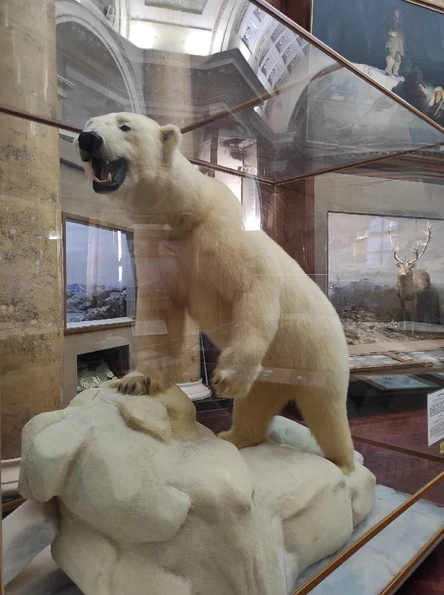 Экскурсия "Природа Арктики" в Музее Арктики и Антарктики 5-7 лет