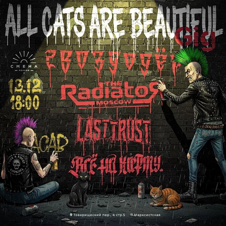 All cats are beautiful gig