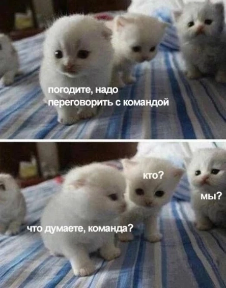 ИНДИxBLOXY сходка