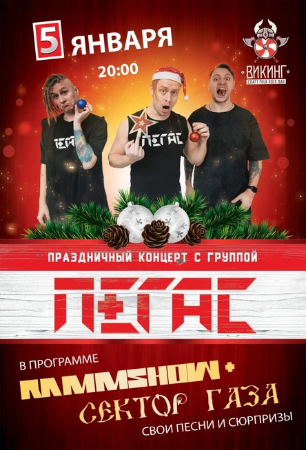 Праздничный концерт | 5 января | Пегас