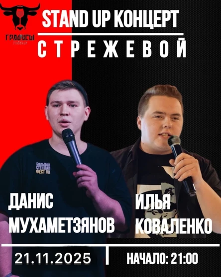 Денис Мухаметзянов и Илья коваленко