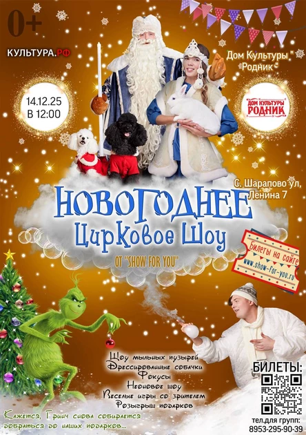 " Новогоднее цирковое шоу"