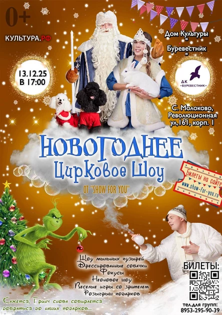 " Новогоднее цирковое шоу"