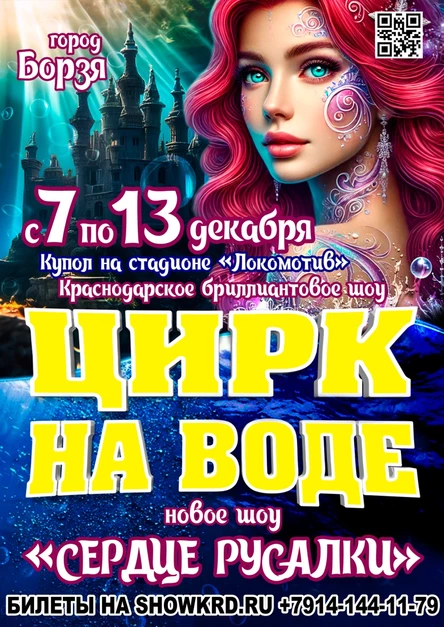 Цирк на воде Борзя