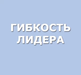 ГИБКОСТЬ  ЛИДЕРА
