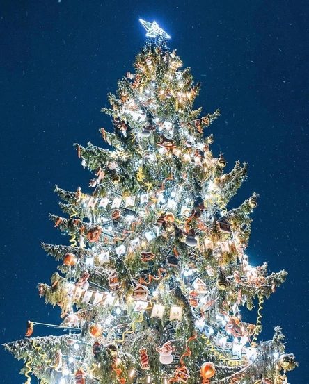 Автобусная экскурсия "Новогодняя сказка" 7+