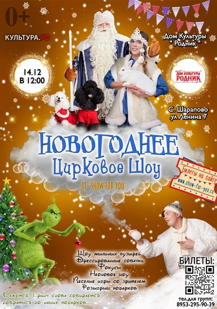 " Новогоднее цирковое шоу "