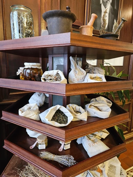 Обзорная экскурсия в Аптеке доктора Пеля 8-12 лет