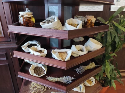 Обзорная экскурсия в Аптеке доктора Пеля с мастер-классом 7-10 лет