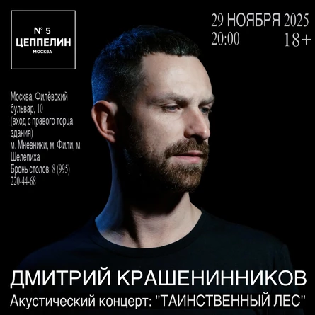 Дмитрий Крашенинников - Акустический концерт: «Таинственный лес»