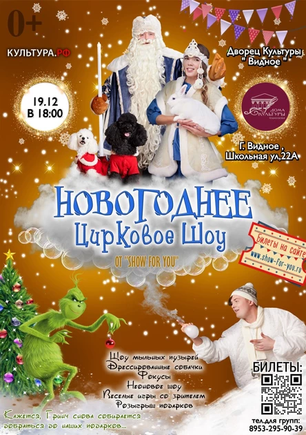 " Новогоднее цирковое шоу "