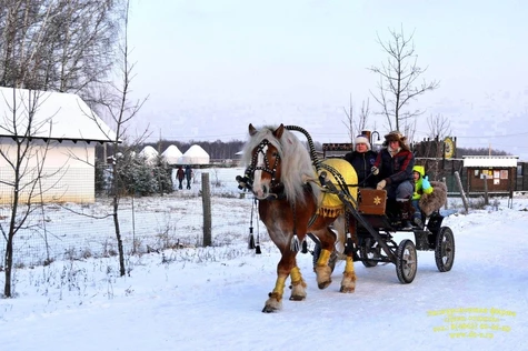 Экскурсия в «Этномир» «Коляда, Коляда! Пришла Коляда на канун Рождества»