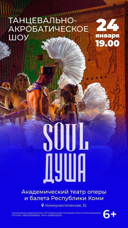 Танцевально-Акробатическое шоу «Soul»