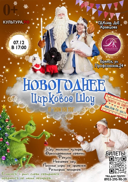 " Новогоднее цирковое шоу "