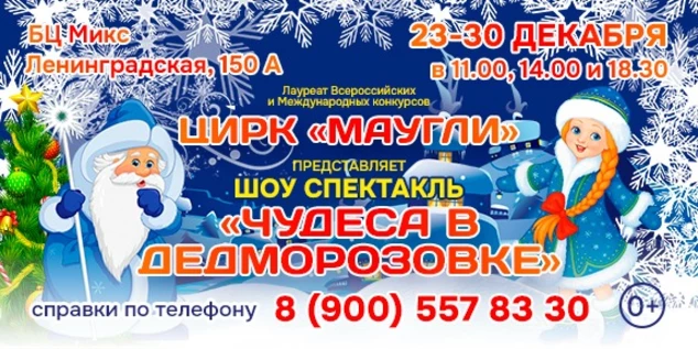 Чудеса в Дедморозовке