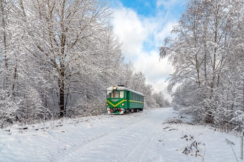 По УЖД к Тигоде с автомотрисой АМ1-169