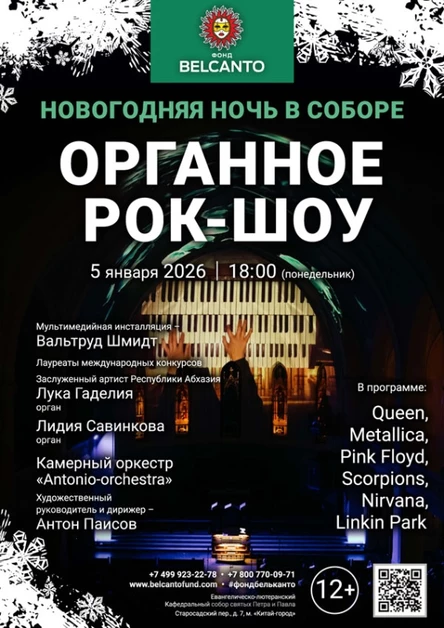 Проект «Новогодняя Ночь в Соборе». «Органное Рок-шоу»