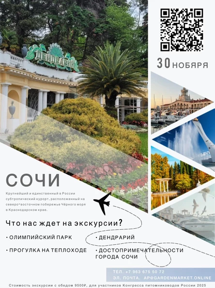 Экскурсия по Сочи