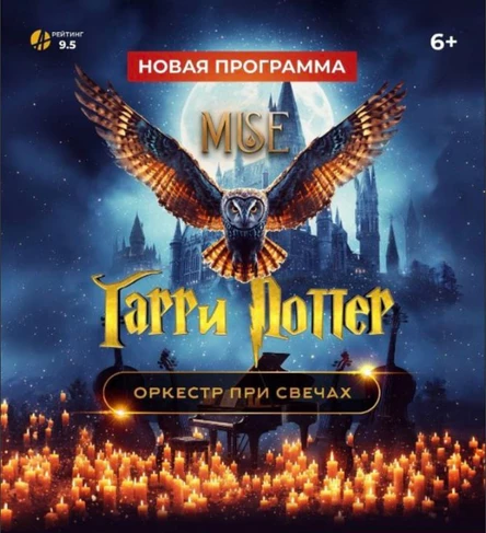 Гарри Поттер | Владивосток