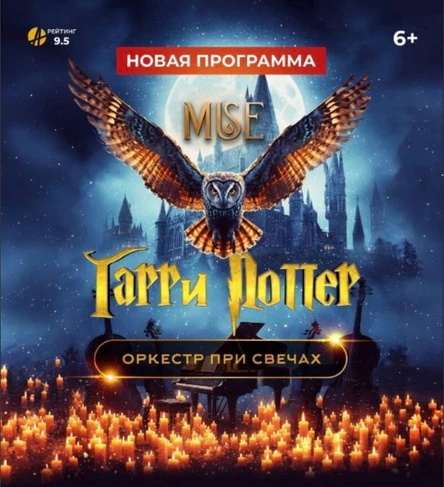 Гарри Поттер | Хабаровск