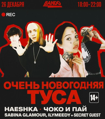 ОЧЕНЬ НОВОГОДНЯЯ ТУСА