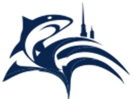 Международные соревнования по плаванию "Кубок Владимира Сальникова"