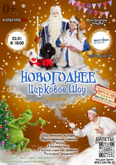«Новогоднее цирковое шоу»