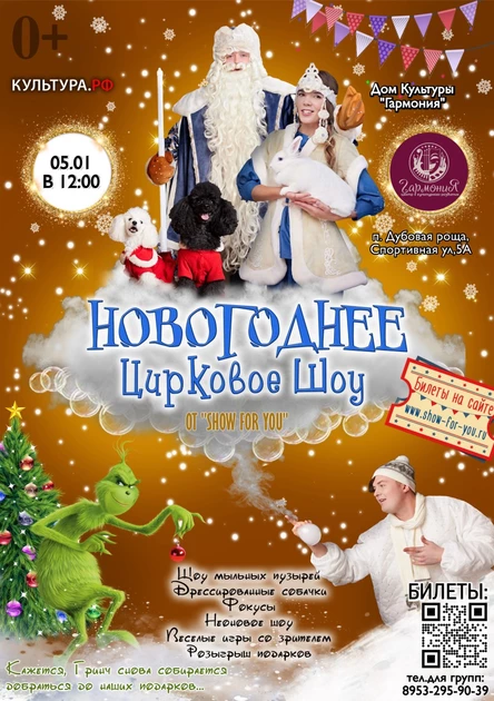 «Новогоднее цирковое шоу»