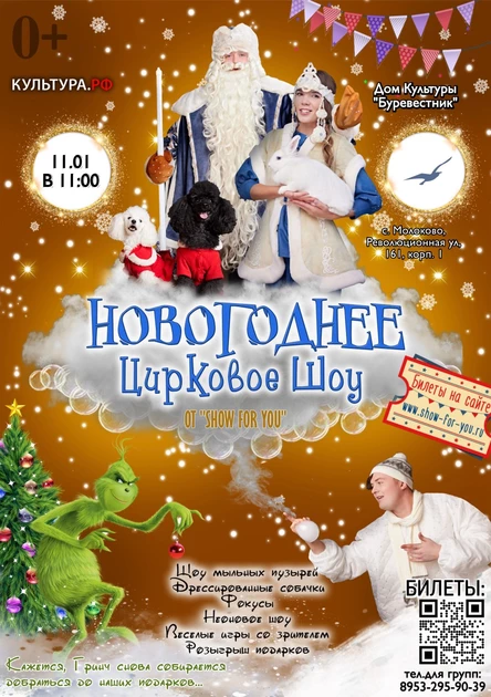 " Новогоднее цирковое шоу"
