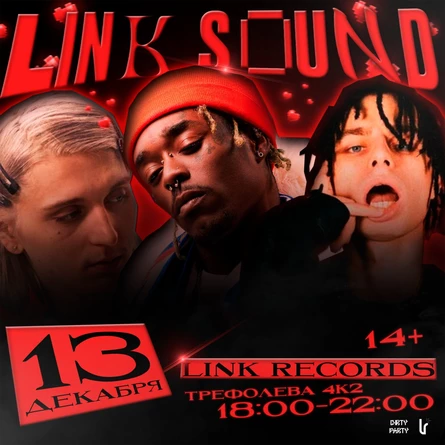 LINK SOUND