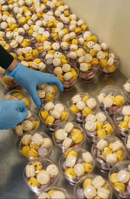 Экскурсия на фабрику пирожных макарон с мастер-классом 6+