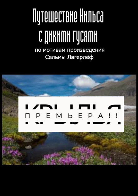 Музыкальный спектакль "Путешествие Нильса с дикими гусями"