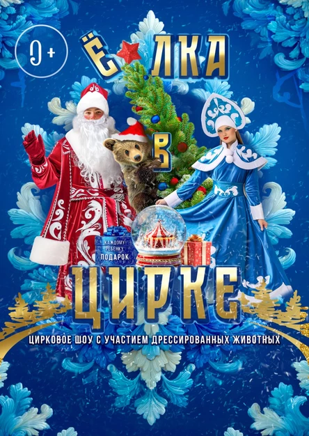 Елка в Цирке г. Грязи