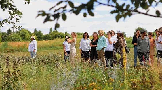ОСОКИ. АССОРТИМЕНТ, ИСПОЛЬЗОВАНИЕ