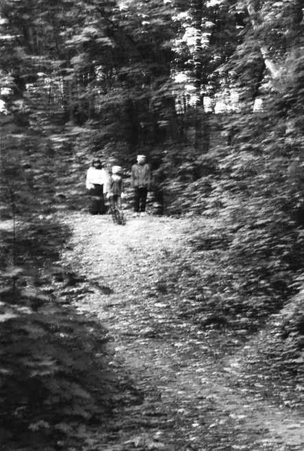 «Луговые Мари» в Казани