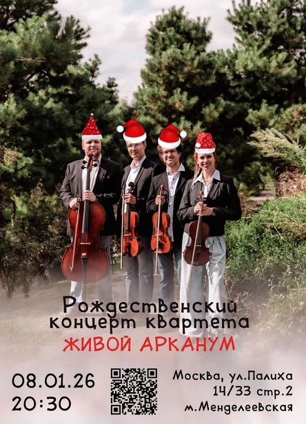 Концерт Музыки из Игр - Новогодний калейдоскоп (группа "Живой Арканум")