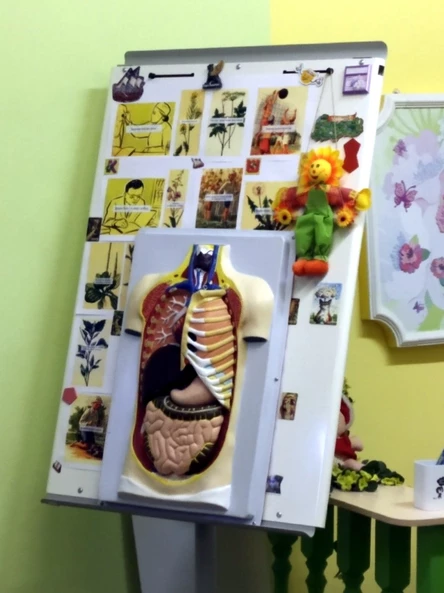 Военно-медицинский музей "Занимательная анатомия" 5-7 лет