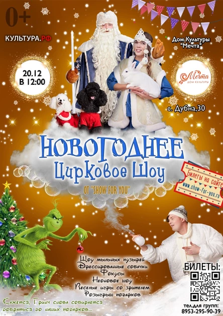 " Новогоднее цирковое шоу "