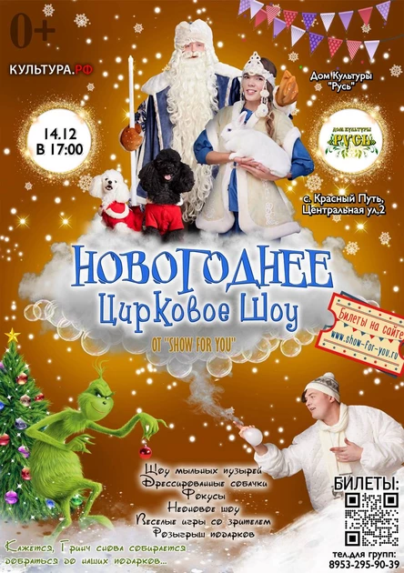 " Новогоднее цирковое шоу "