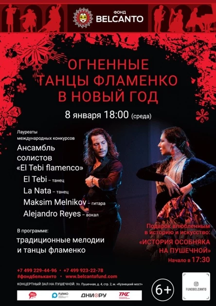 «Огненные танцы Фламенко в Новый год»