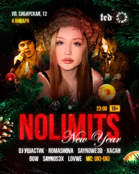 NOLIMITS x TED  | NEW YEAR PARTY | СИБИРСКАЯ 12 | 4 ЯНВАРЯ