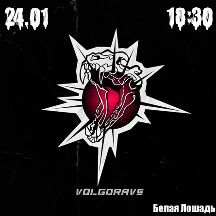 VOLGORAVE 24.01