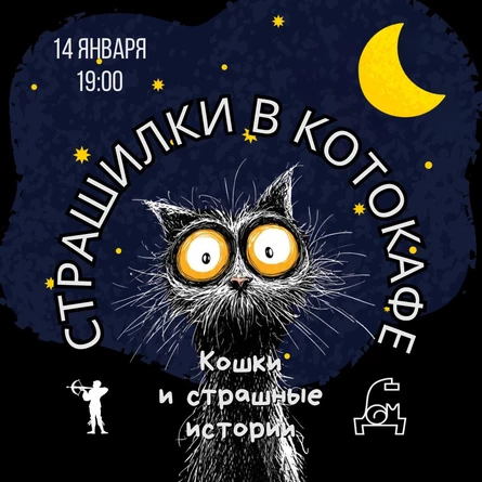 СТРАШИЛКИ В КОТОКАФЕ!