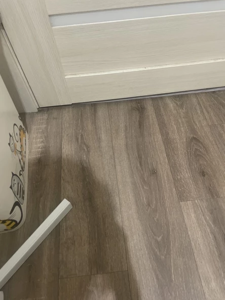 27 декабря | CAMPUS NEW YEARS PARTY + SECRET GUEST